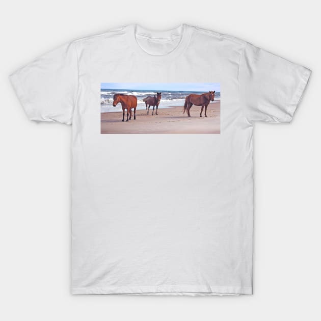 Wild horses, wildlife, A Trio of Beach Buddies T-Shirt by sandyo2ly